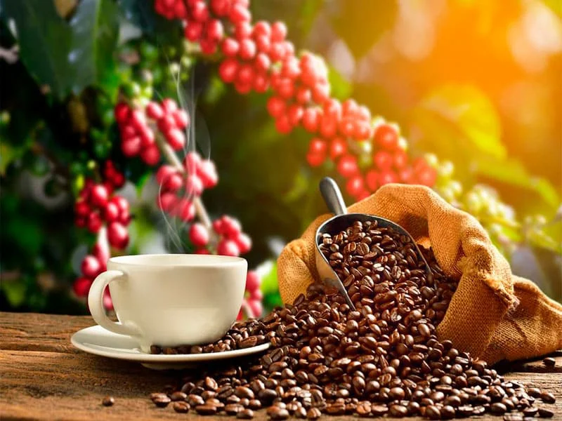 Coffee